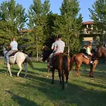Casa Simonetti Bed and Breakfast Torre del Lago Puccini