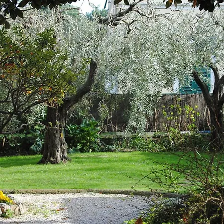 Casa Simonetti Couette-café Torre del Lago Puccini