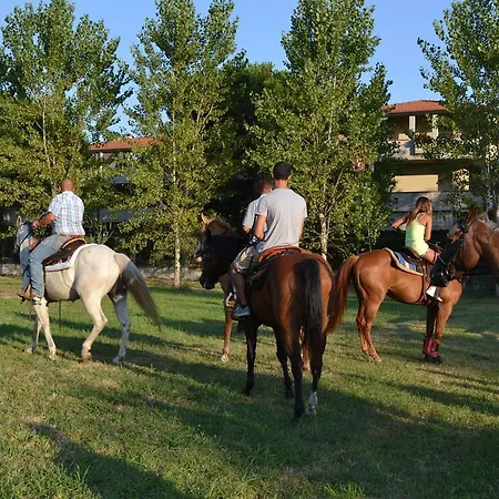 Casa Simonetti Bed & Breakfast Torre del Lago Puccini