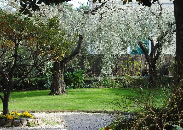 Casa Simonetti B&B 소레델라고푸치니