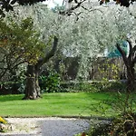Casa Simonetti לינה וארוחת בוקר מגדל אגם פוצ'יני